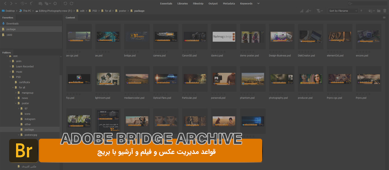 آموزش اصول آرشیو و مدیریت میدیا در بریج